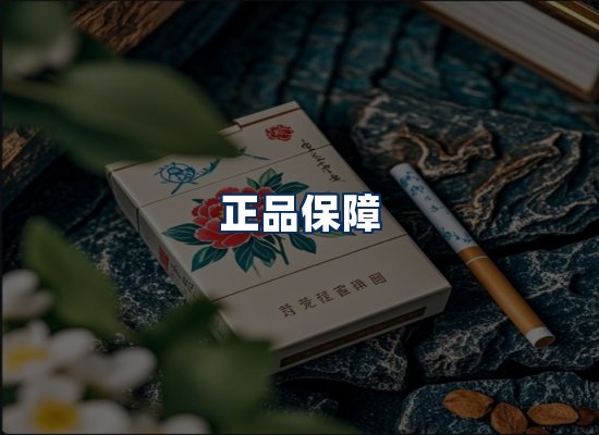 专业团队办公环境